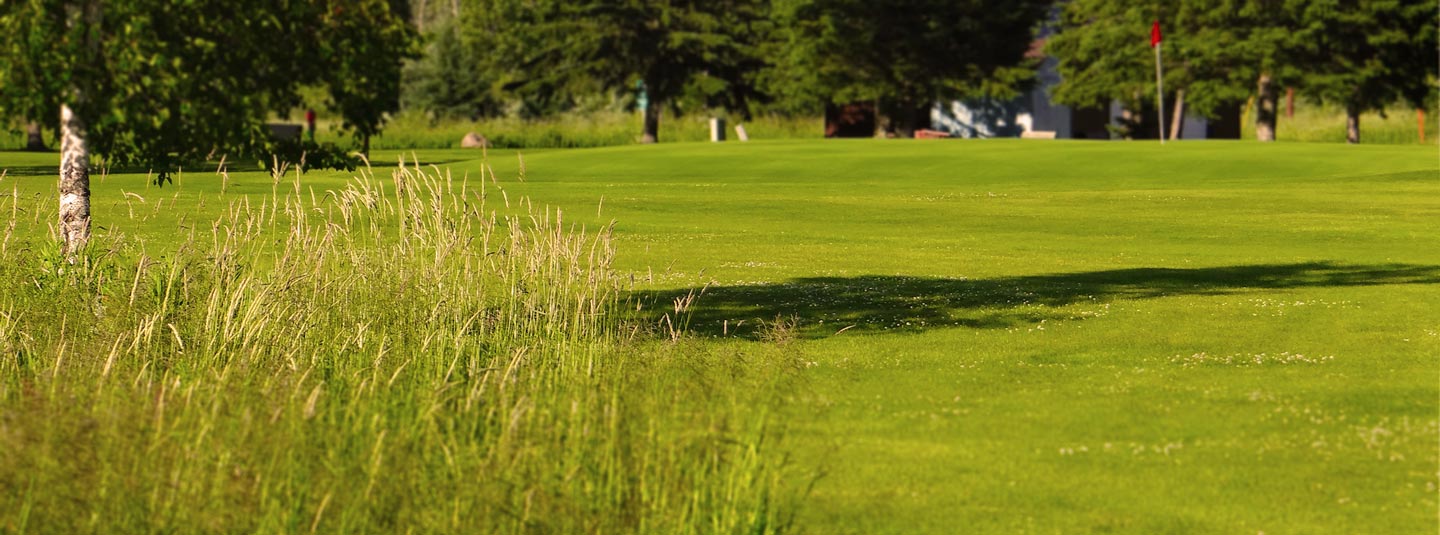 About Prentice Pines